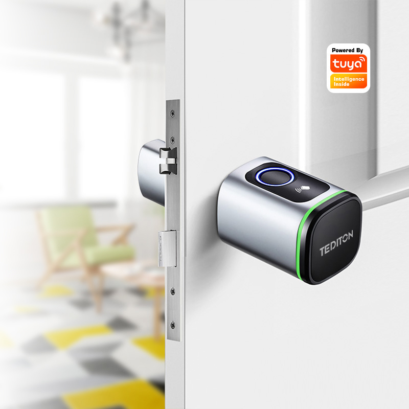 Tuya Wifi serrure de porte à c - Airbnb Smart Home avis et prix