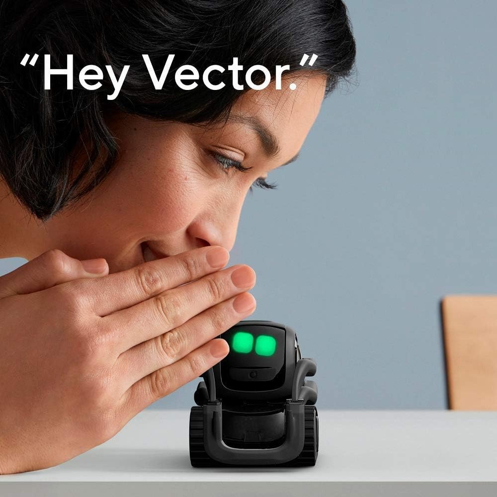 Robot compagnon intelligent au - Smart Home Remote avis et prix